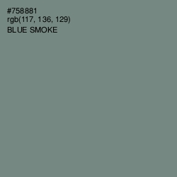 #758881 - Blue Smoke Color Image
